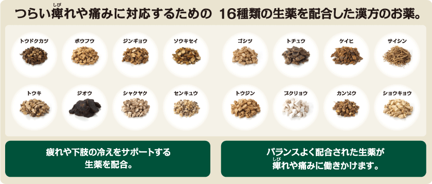 独活寄生丸に配合されている生薬16種類
